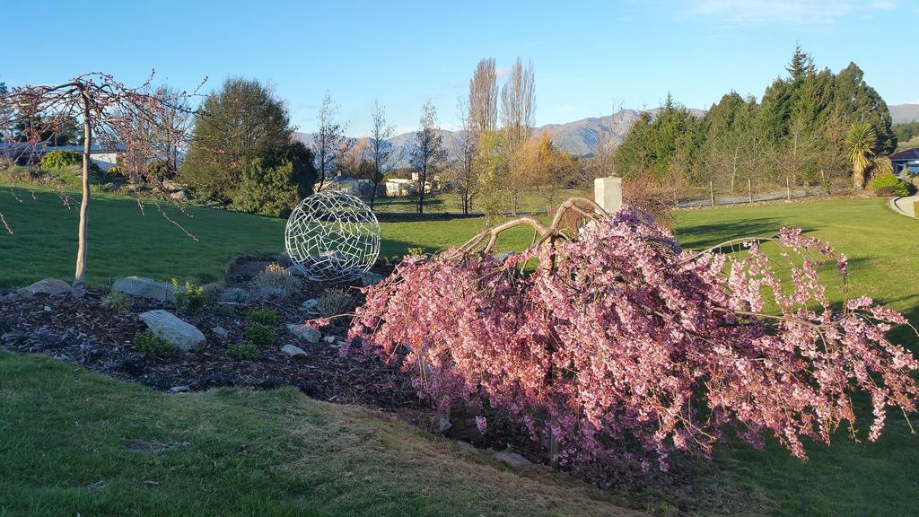 Wanaka Alpine Lodge Exterior photo